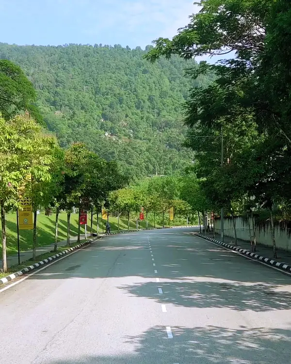 Jalan rindang menuju Penang Hill